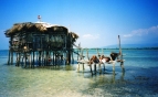 Pelican Bar, St. Elizabeth, Jamaica (1 mérföldre a parttól) Fotó: 