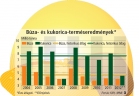 Fotó: 