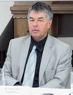 Csiba Gábor