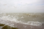 Emelkedik a Balaton vízszintje Fotó: MTI: Varga György 